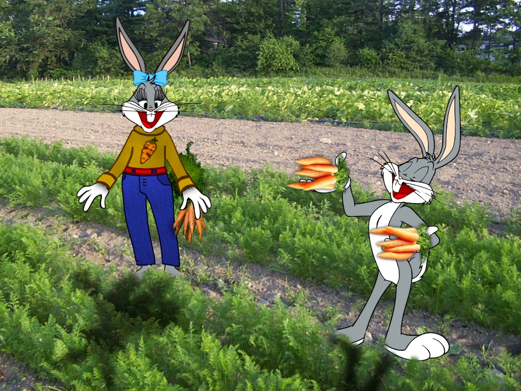 Bugs i Honey
